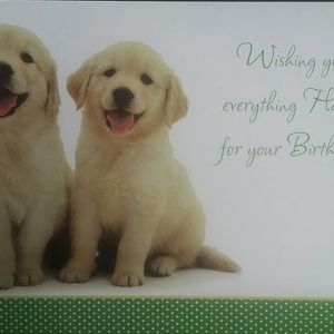 4 animal themes b day cards